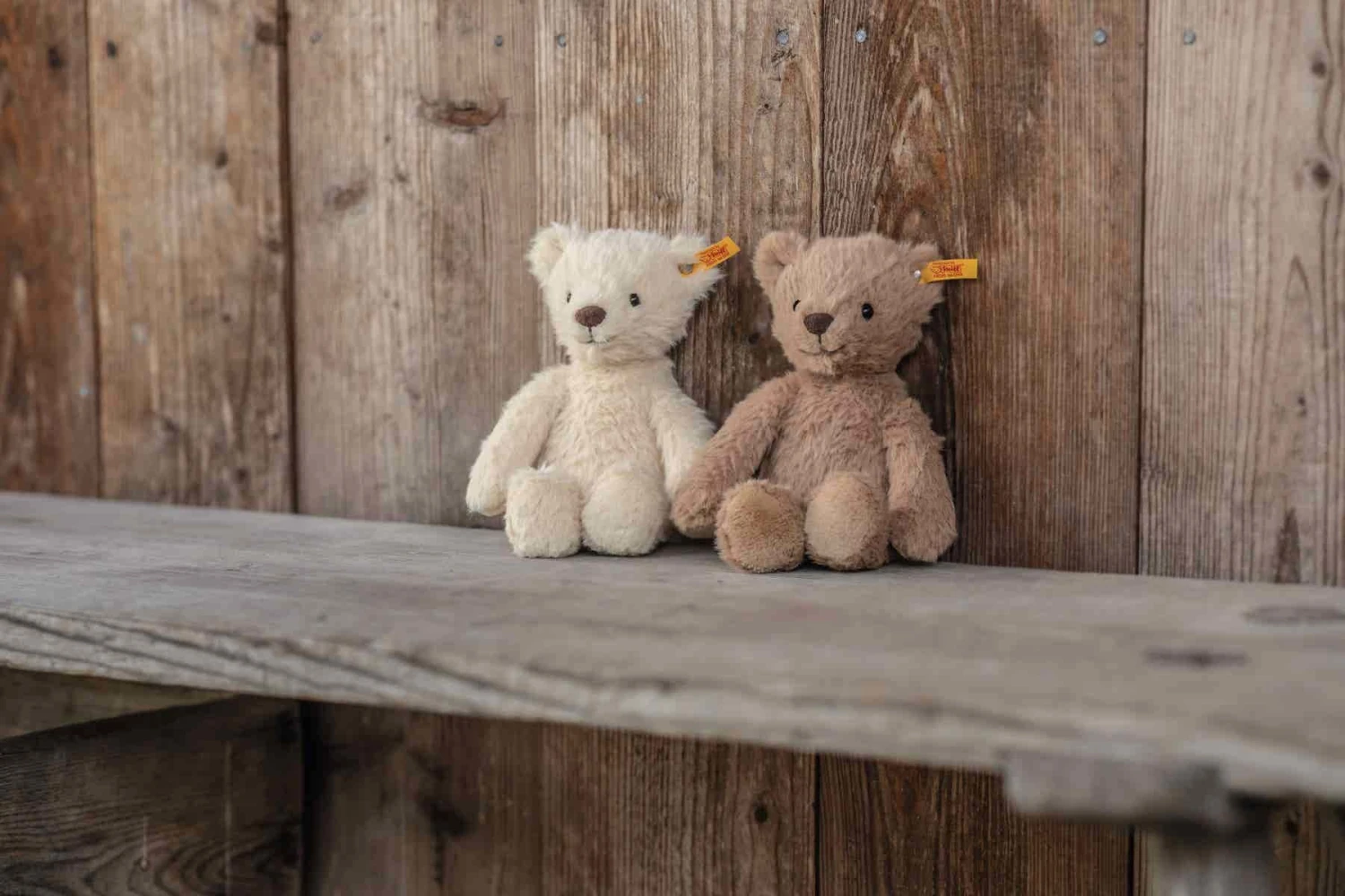 Steiff Knuffel Teddybeer Thommy Teddy Bear 20cm 4 Steiff Knuffel Teddybeer Thommy Teddy Bear 20cm - Afbeelding 2