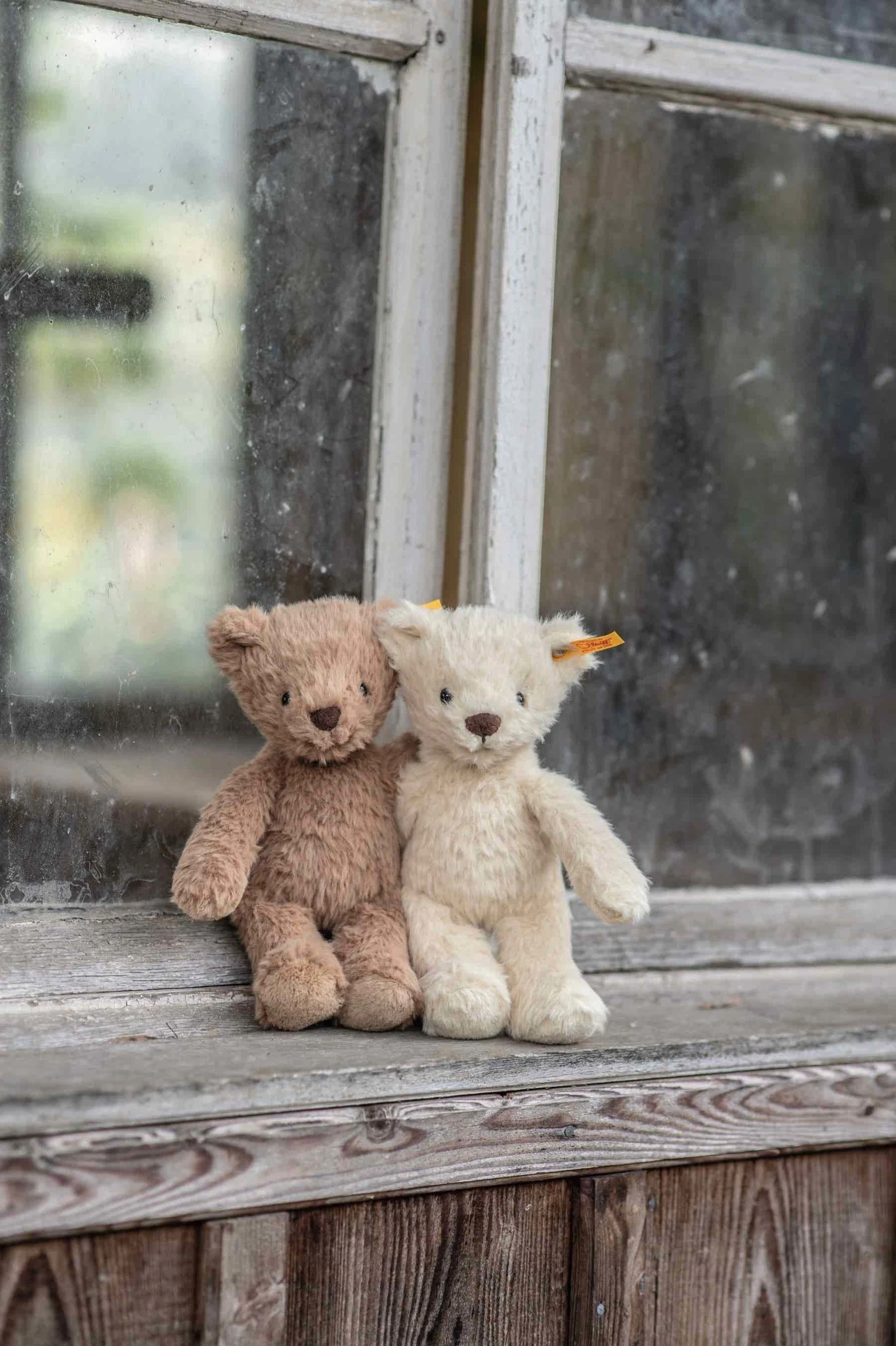 Steiff Knuffel Teddybeer Thommy Teddy Bear 20cm 6 Steiff Knuffel Teddybeer Thommy Teddy Bear 20cm - Afbeelding 4