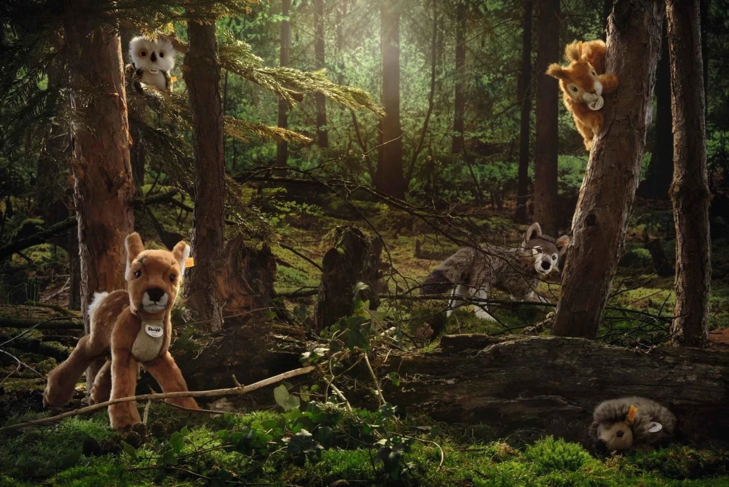 Steiff Knuffel Wolf Snorry 4 Steiff Knuffel Wolf Snorry - Afbeelding 2