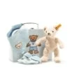 Steiff Geschenkset Met Knuffel Blauw -Knuffels Winkel image 1125