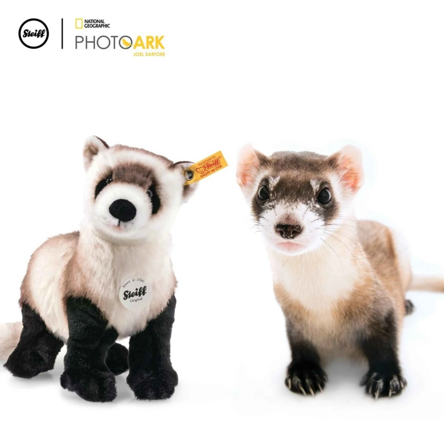 Steiff Knuffel Fret Ferri National Geographic 4 Steiff Knuffel Fret Ferri National Geographic - Afbeelding 2